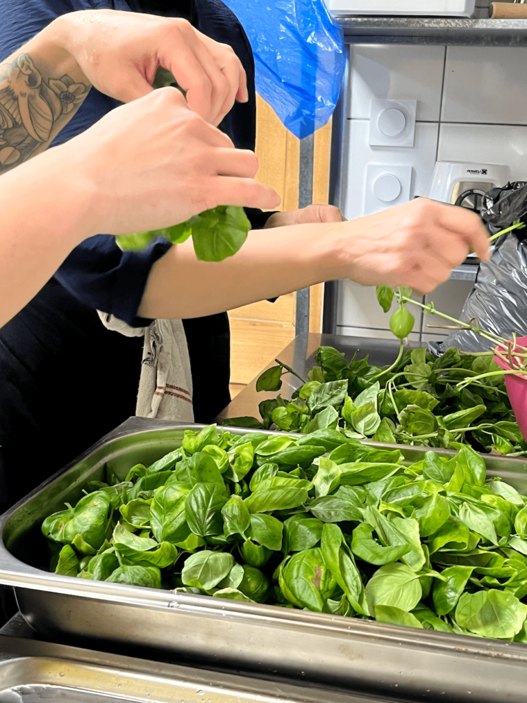 formation-resto-tri-herbes formation-resto-tri-herbes