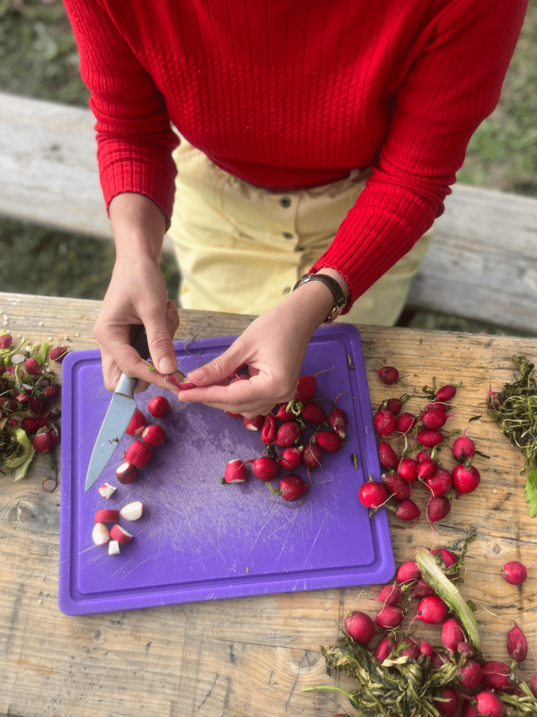 soutenir-recup-gamelles-antigaspi soutenir-recup-gamelles-antigaspi